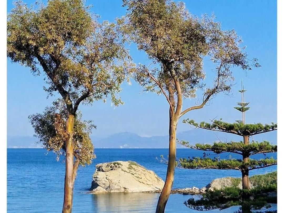 Villa Eden Agropoli Exteriér fotografie