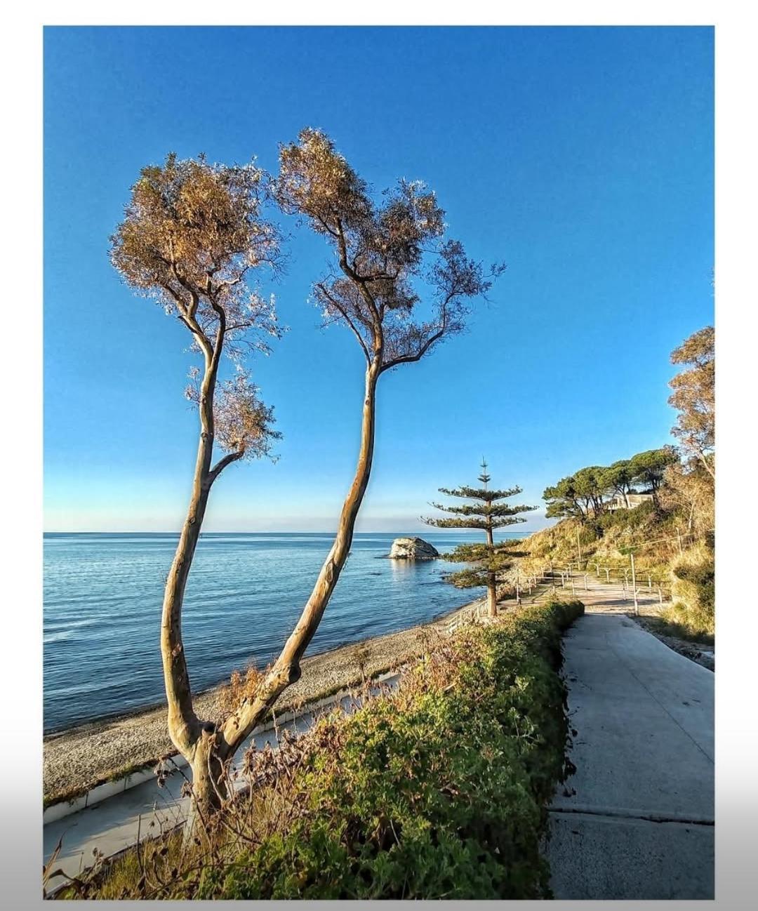 Villa Eden Agropoli Exteriér fotografie